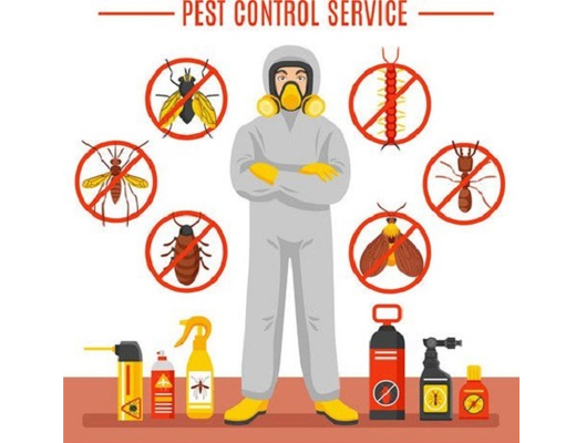 Zift Technology Services